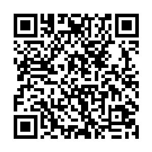 李妈也不知道是不是刚才实在是叫舅妈逼问的太尴尬二维码生成