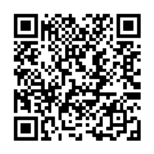 李姐认识了海哥……在得知李姐和海哥结婚的那天晚上二维码生成