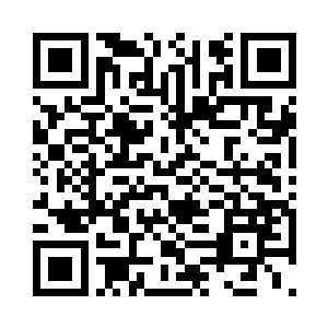 李姝和琴儿她们都没有画儿这样的脑回路二维码生成