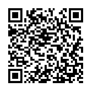 李姝让包子小丫鬟去外面端来了些零嘴和时令瓜果二维码生成