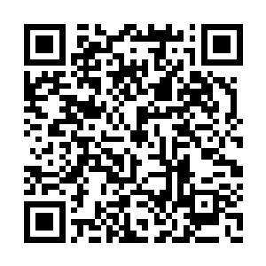 李娇想起过往她用这一套让自己吃了多少的闷亏二维码生成