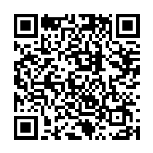 李子辉带来的两名年轻人看着杨洛的样子有些不满二维码生成