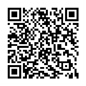 李家的人似乎是想联系我们黑蝎对付叶大哥你呢二维码生成