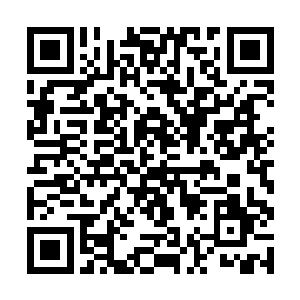 李家的大小事务就是由他们这三个太上元老来负责的二维码生成