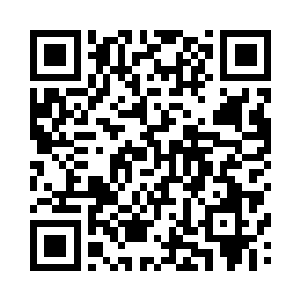 李寒烟伸手去抓江帆怀里的红色小鸟二维码生成