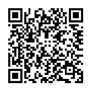 李峰用来购买这个火属性禁咒的魔法咒语的上品魔晶石二维码生成