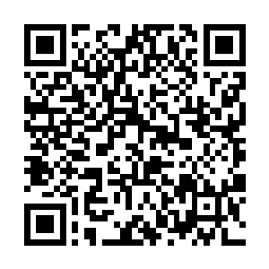 李峰的分身已经成功的突破到五阶法圣和五阶剑圣了二维码生成