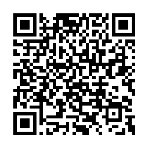 李峰的魔法修为和斗气修为都再一次开始了增长二维码生成