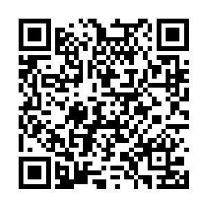 李川若有所思地看了一眼正在快速愈合消失的伤口二维码生成