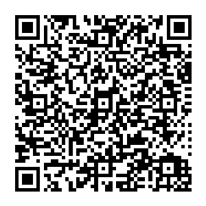 李常就带着一个老仆站在这个烽火连天却又秋高气爽的蓝天下背着手面对西夏的铁甲骑兵岿然不动二维码生成