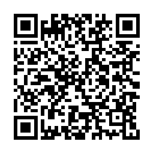 李建雄就恨得现在就就将李伟虎的位置取而代之二维码生成