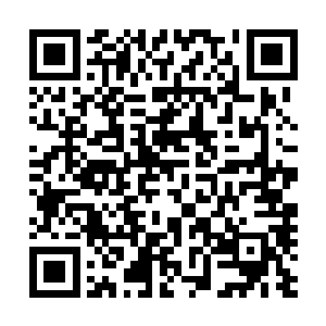 李心茹等国内众多实力派女歌手关于歌坛天后的争夺之中去二维码生成