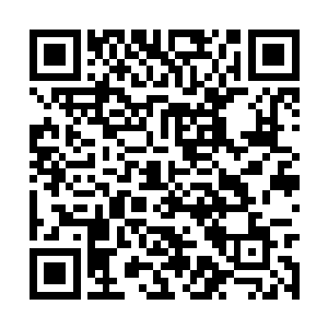 李念薇小姐的身价堪称火箭一样的速度不停的狂飙二维码生成