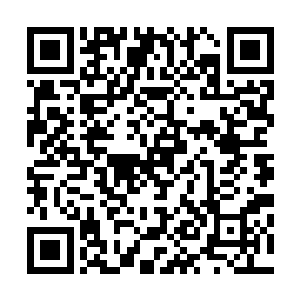 李思炘和李思涵两兄弟在安郡王门前长跪不起替郡王妃求情二维码生成