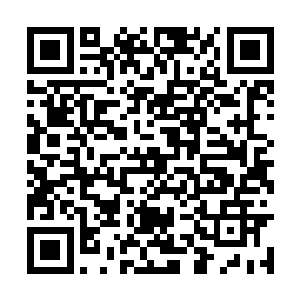 李思辰已经和打不死的小强挂上了钩……可不是吗二维码生成