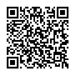 李思辰来到了鬼宅门口四目相对的两只石龟跟前二维码生成