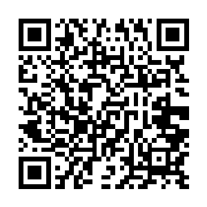 李意锋正向他的那些死党吹嘘昨天晚上已经把你给拿下了二维码生成