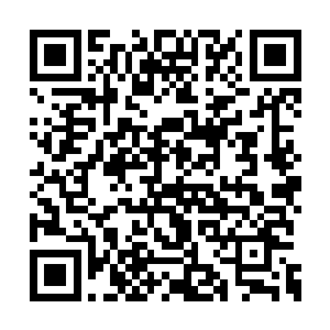 李懿白和宋庭鹭两人则不知其然更不知其所以然二维码生成