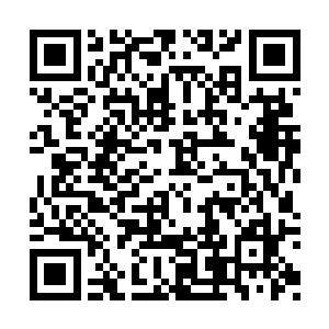 李断月已经迫不及待把这件事全都告诉了这孩子二维码生成