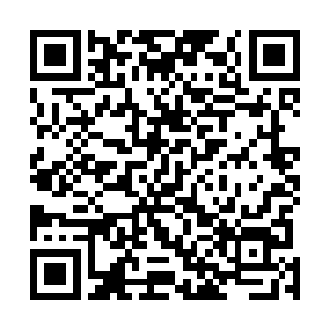 李无花才真正明白波塞希刚才的那一句话是个什么意思了二维码生成