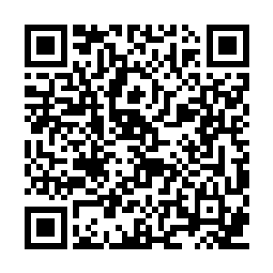 李昊这时候再次感觉到了自己与叶秋之间的距离二维码生成