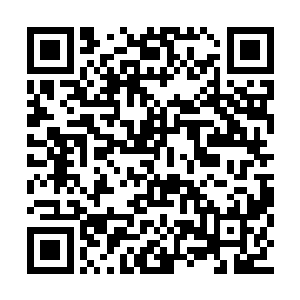 李明强通话时隐晦地提出会带陈大海一起去赴宴二维码生成