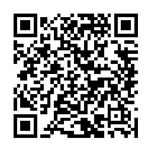 李明月的新住所比之前那个住所还要宽敞还要豪华二维码生成