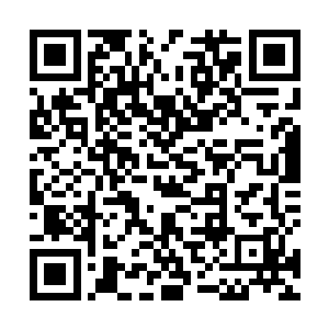 李显贵却惊讶地听到李雨彤竟然如此轻易地点头同意了二维码生成