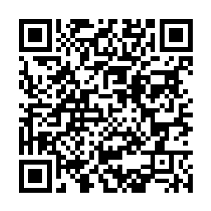 李智和祁逸尘前后脚来到伯爵府询问顾小姐的消息二维码生成