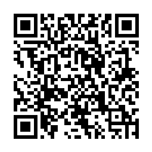 李月茹和陈玉两人见到周紫衣的动作同时惊呼出口二维码生成