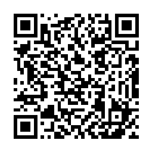 李枫八人持着火棍如同打手一般气势汹汹的跟在后面二维码生成