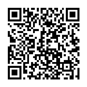 李梦雪也成为了京城无数的公子哥二代们心中的女神二维码生成