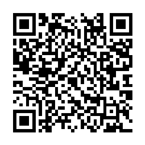 李梦雪的爷爷可是专门安排了两个内卫保护李梦雪二维码生成