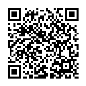 李毅忽然间就想到了南方大学王海波老师的女儿王晓月二维码生成