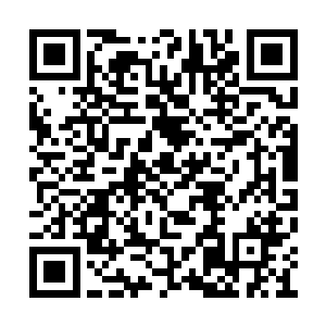 李毅感受到她指尖传递过来的一种电流般的温柔二维码生成