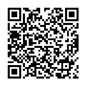 李毅确定倪力说的那个女人就是自己在医院碰到的那个二维码生成