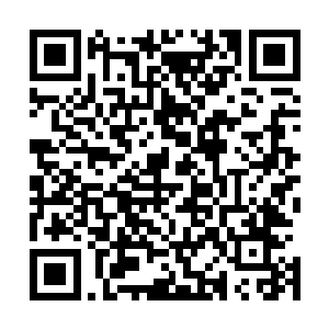 李毅虽然在职工代表的补选和比例构成上提出了重要的意见二维码生成