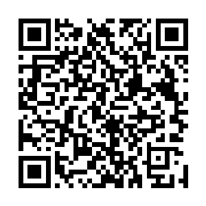 李泰熙和他的团队肯定憋足了劲要在这两项比赛里挽回颜面二维码生成