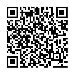 李泽一向漫不经心的模样在看到那几个箱子时眼里闪过一道金光二维码生成