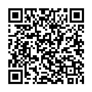 李浩民的战术已经是他们目前能想到最优秀的一个了二维码生成