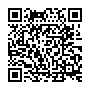 李涛他们十几个人迅速把杨洛围了检查了一下杨洛身上的伤势二维码生成