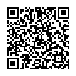 李清会毫不犹豫的将手下所有的力量投入到战斗之中二维码生成
