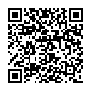 李漫漫想起当日苏落被无忧仙子那群人刺杀的事二维码生成