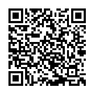 李珠玉手里还拿了药膏心疼地给白芒的脸上擦着二维码生成