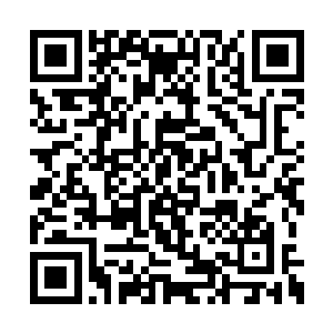 李瑞在释放出火焰之神的守护这个高级魔法之后二维码生成