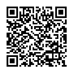 李瑞已经被族长李天阳剥夺了全力培养的资格了二维码生成