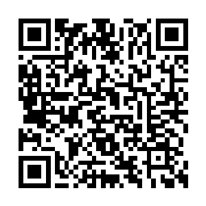 李碧婷眼里闪出一蓬火花……姐姐可真会挑人啊二维码生成