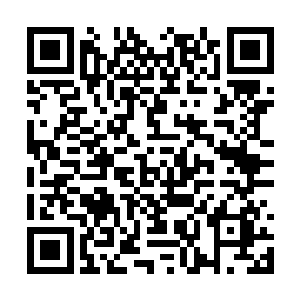 李耀不可能一口气点三五十锅肉骨头这么惊世骇俗二维码生成