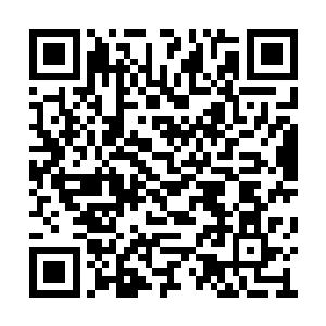 李耀不明白这头幻影金雕为什么要退出隐形状态二维码生成