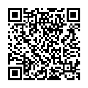 李耀不知道该怎么看待这个极有可能和义父有血缘关系的少年二维码生成